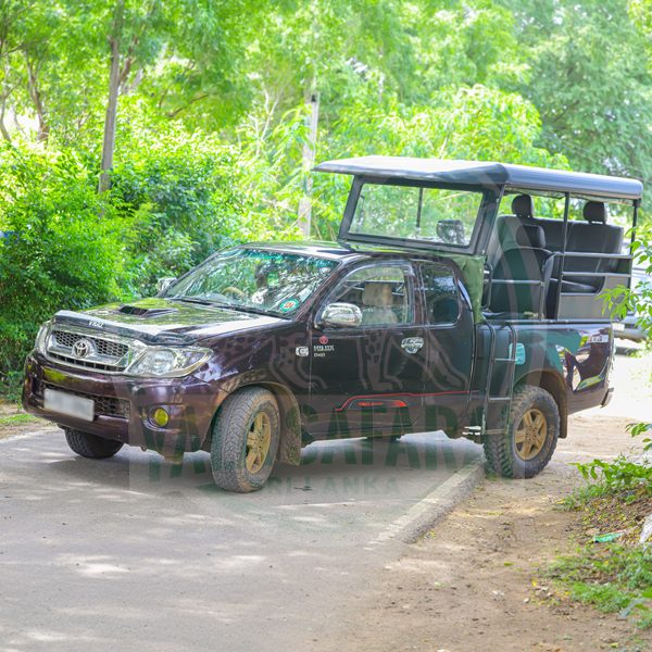 Toyota Hilux safari jeep, dark maroon, open-sided with roll bar canopy