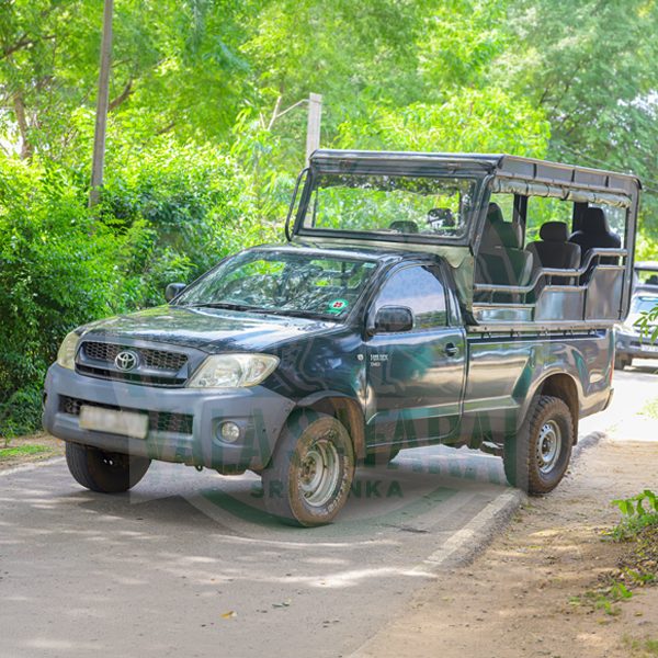 Toyota Hilux safari jeep, dark green, open-sided with roll bar canopy